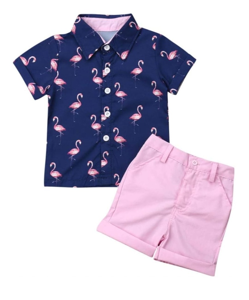 Conjunto camisa azul marino de flamencos