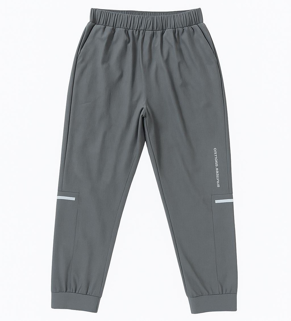Jogger gris
