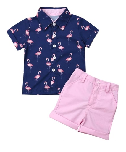 Conjunto camisa azul marino de flamencos