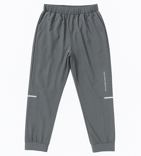 Jogger gris